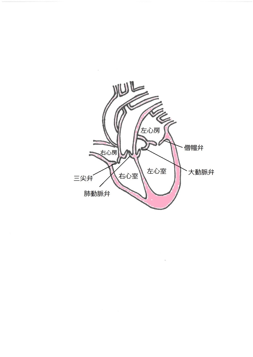 うえしま2