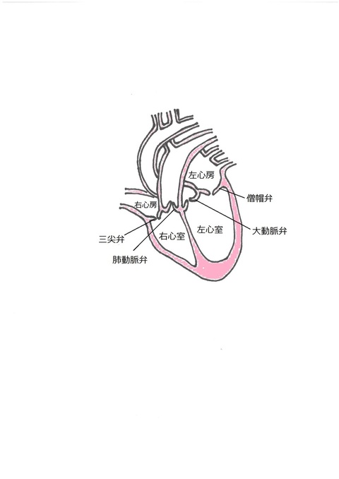の が から 心臓 耳 聞こえる 音 耳鳴りの原因は？体内の雑音、外耳・中耳・内耳・神経・脳の異常について