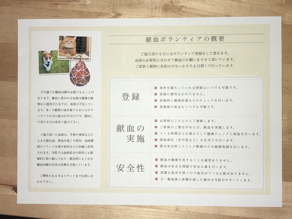 たなべ2