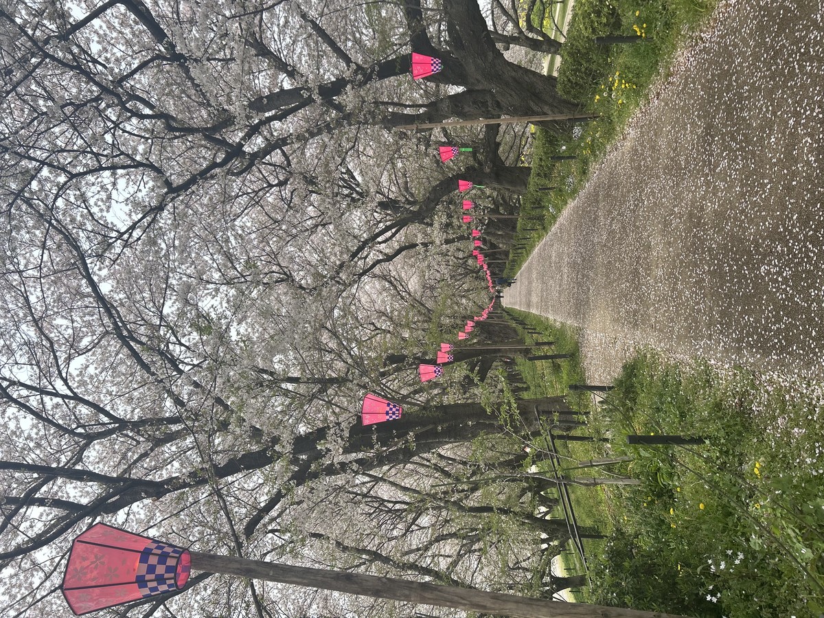 aoki1