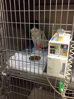 入院の様子2