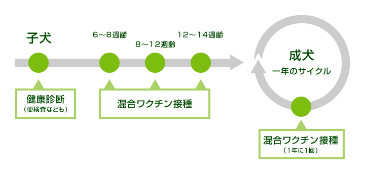 ワクチン接種までの流れ