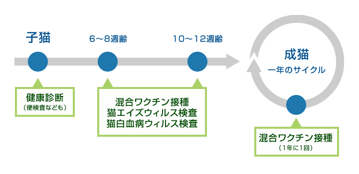 ワクチン接種までの流れ